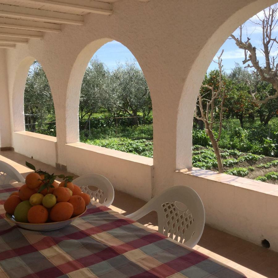 El Cortijo De La Abuela Benahadux Exterior foto